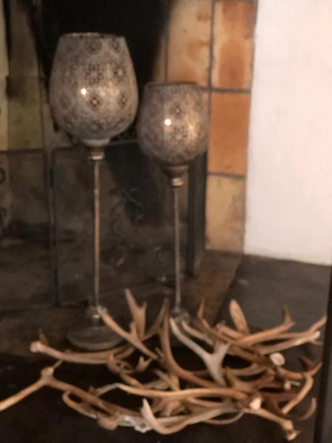 Marsfjaell Mountain Lodge Hotell I Saxnaes מראה חיצוני תמונה