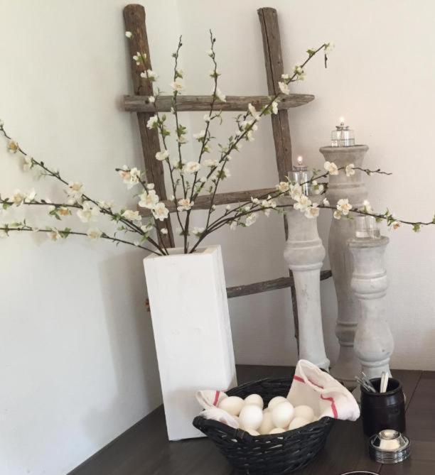 Marsfjaell Mountain Lodge Hotell I Saxnaes מראה חיצוני תמונה